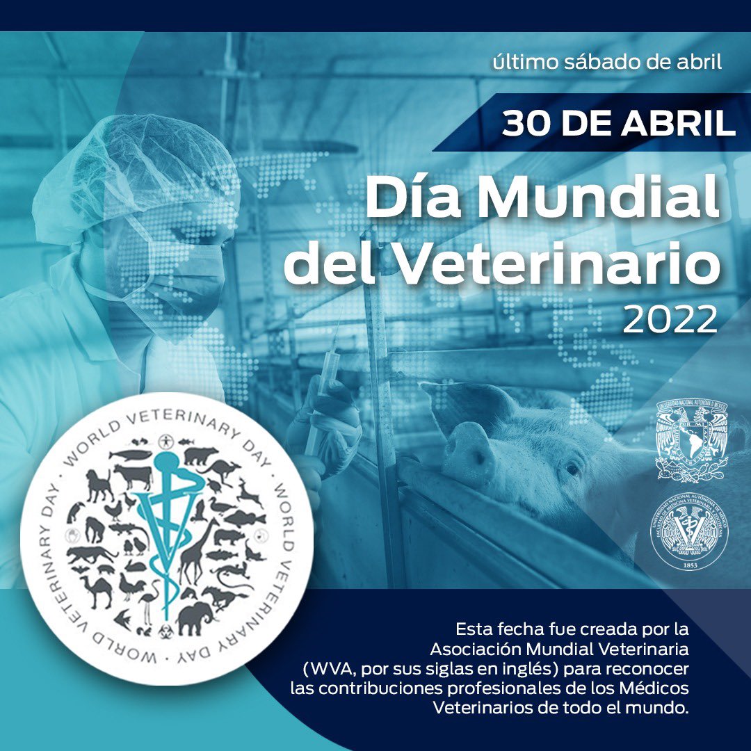 FMVZUNAM's tweet photo. ¡Cada último sábado de abril se celebra el #DiaMundialDelVeterinario! 👨🏽‍⚕️👩🏻‍⚕️ ¡Felicitamos y reconocemos la labor que desempeñan todos nuestros profesionistas! https://t.co/9LesoD0Mx2