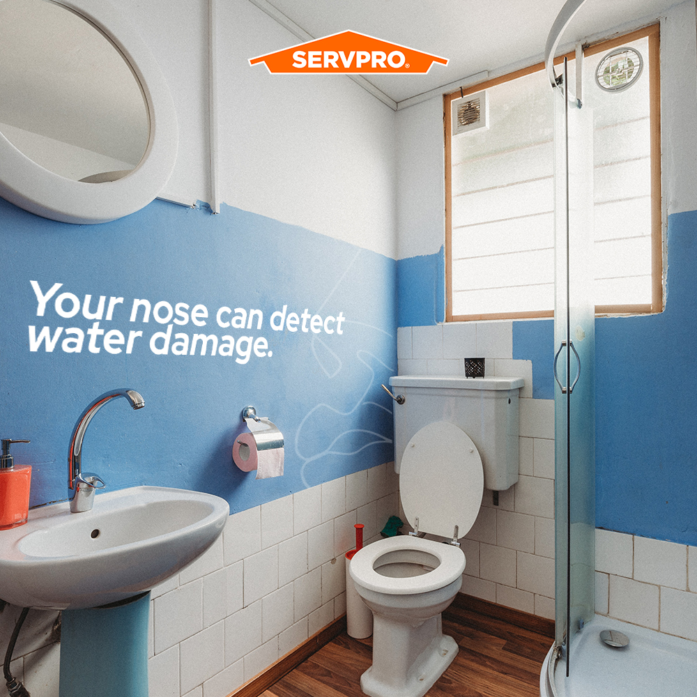 Your nose knows. One of the first indicators that mold or water damage is present is a musty or stale smell. 

Contact SERVPRO for water damage restoration and mold remediation.