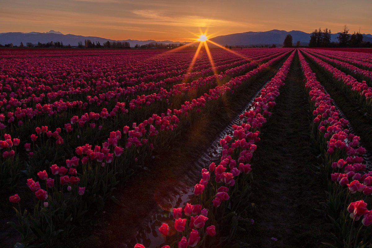 GemarRandal's tweet photo. @TheDanCosta Good Morning Sunshine ☀️️ https://t.co/kckKx2nulV
