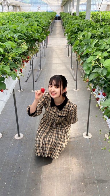 星乃みれいのTwitter画像11