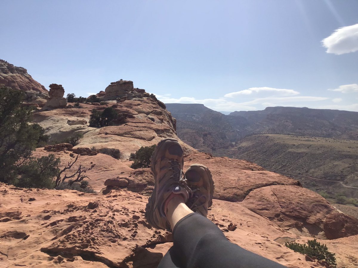 HeatherJSweet's tweet photo. Hold onto your hat!! @SamHeughan is having a birthday 🥳🥃🎈UTAH hiking interrupted my running but I enjoyed every mile accomplished for our Coach Sam🥾❤️🏃♀️!
80.1 miles for #Run42forSam with runs & hikes.
Happy Birthday Coach Sam😘
@TwinnyJess @SassenachSpirit @MyPeakChallenge https://t.co/hFnqEG2CjB
