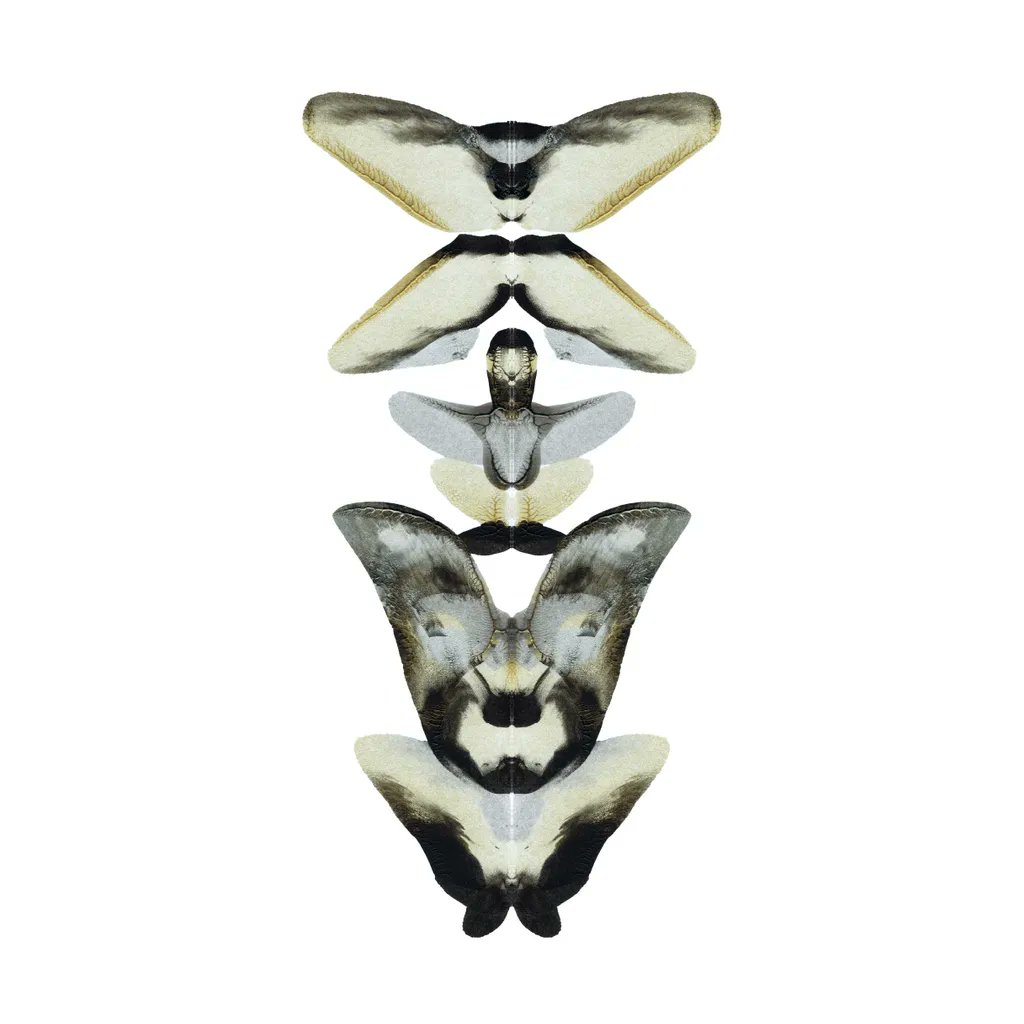 nft0tem's tweet image. 0408/1000 - Relics From The Future Collection.
#nft #art #abstractart #cryptographic #painting #artcommunity #nftcommunity