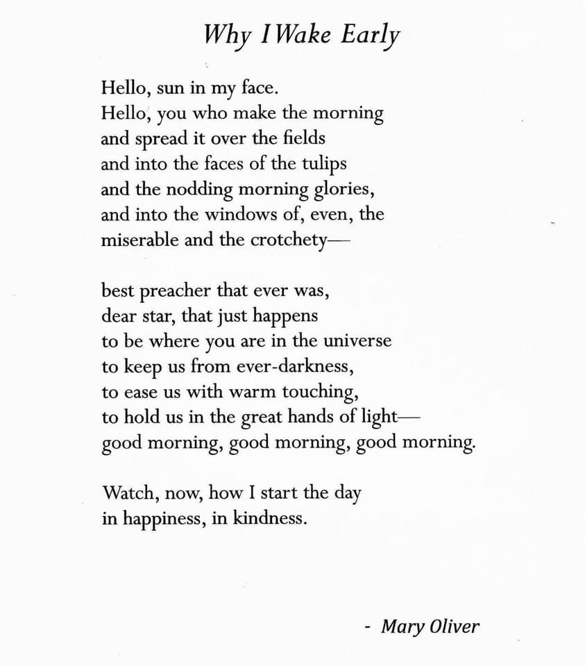 ☀️ I know Mary Oliver didn’t write for me, specifically, but sometimes it feels that way. ☀️
