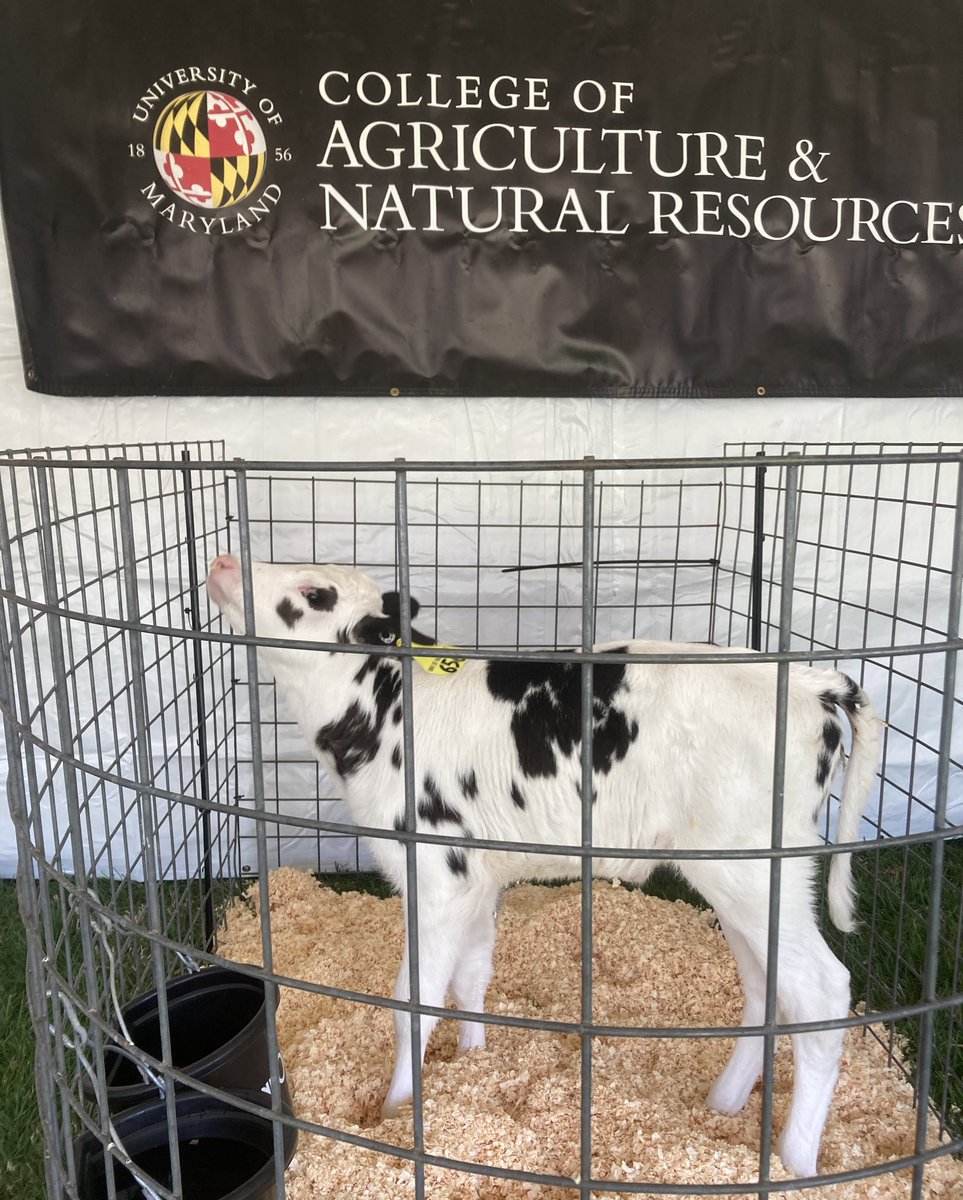 College of Agriculture & Natural Resources tweet media