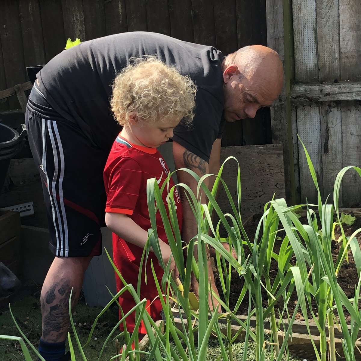 DawnVictoriaT's tweet photo. A surprise visitor has arrived & is helping Grandad with planting out lettuces π±π#grandadtime #family https://t.co/iVl0uSvgtt