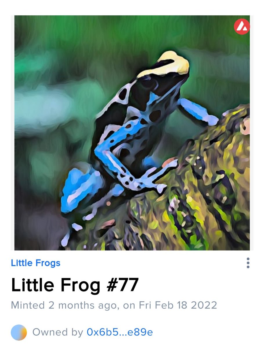LittleFrogs_NFT's tweet photo. Gm everyone, today another Little Frog has found a home, #77!
Thanks @2022CRO for your support and welcome to the family 😃 https://t.co/f9xdx0oskP