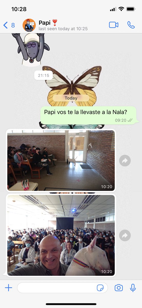 lo voy a compartir acá también porque la verdad no lo puedo creer jajajajajajajajaj