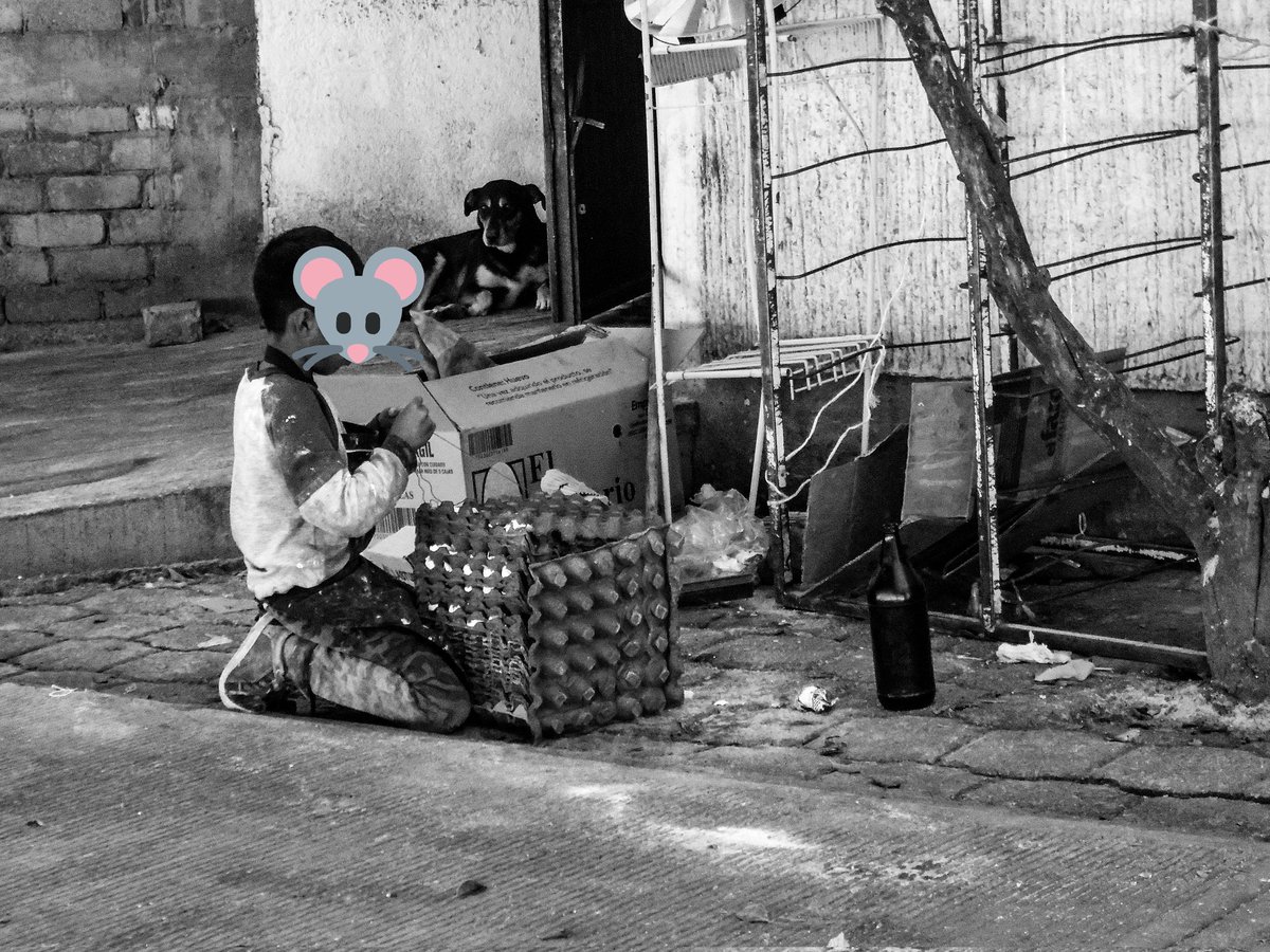 LUISGUS23444569's tweet photo. ¿Xi rcaz mniny? Rcaz mniny quiyet 
¿Qué quiere el niño? El niño quiere jugar. 
En este día del niño es necesario pensar que este sector es de los más vulnerables en cuanto al trabajo infantil. 
@DizhSa #usatuvoz #zapotecodelvalle #diadelniño #explotacion https://t.co/GaBQnY6XHI