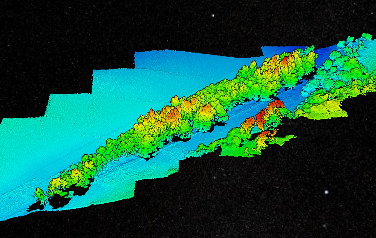 Create visualisations of your sites using point clouds and height data! Contact WildData Drones for 10% off your first quote. wilddatadrones.com #dronemapping #uav #wilddatadrones #pointclouds #3dmodel #habitat #research