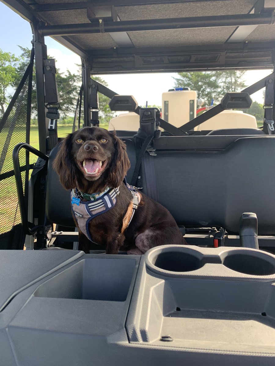 HintonRachel64's tweet photo. When you work on a Saturday, you might as well take your best co-captain with you! #womeninag https://t.co/nlKGlLi4Ta