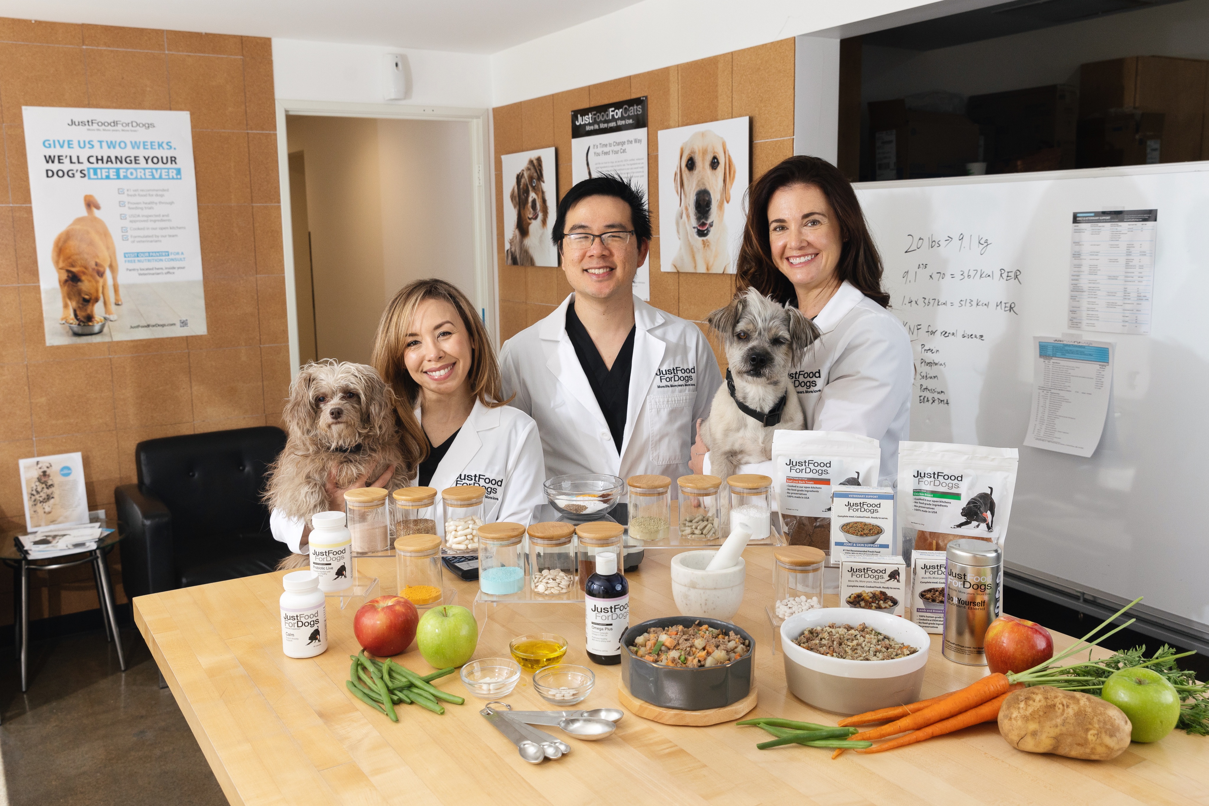 Just food for dogs probiotic top