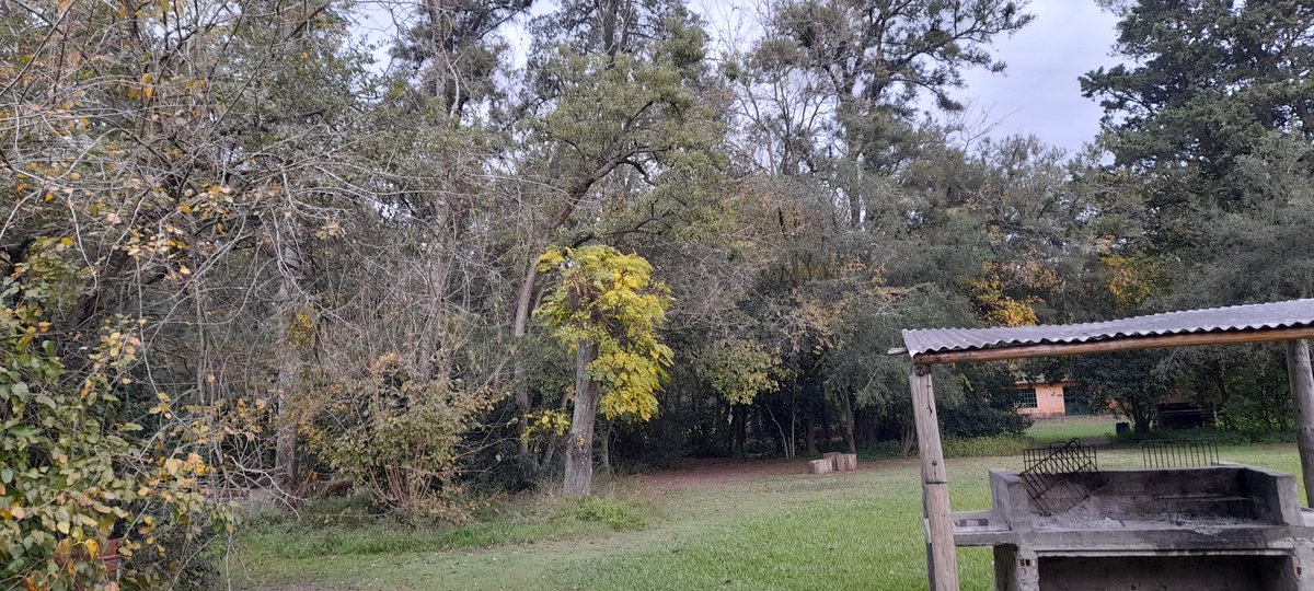 Me estaré muriendo de frío pero la paz que tengo acá es inexplicable <3