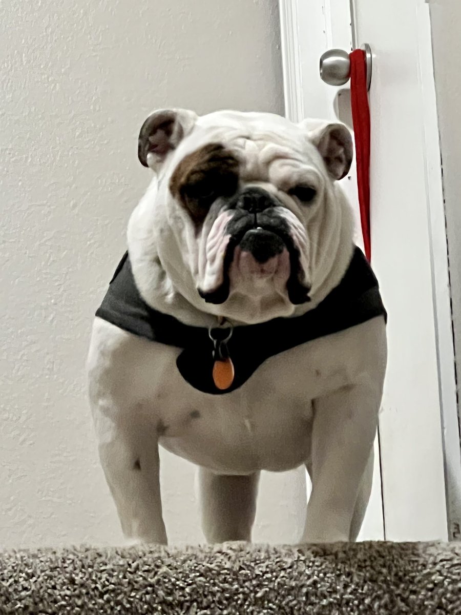 JordanDZink tweet picture