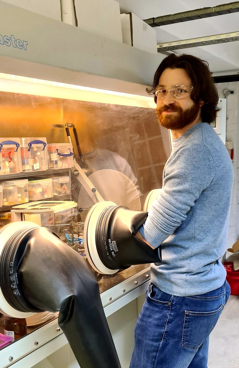 Morrill Group tweet media