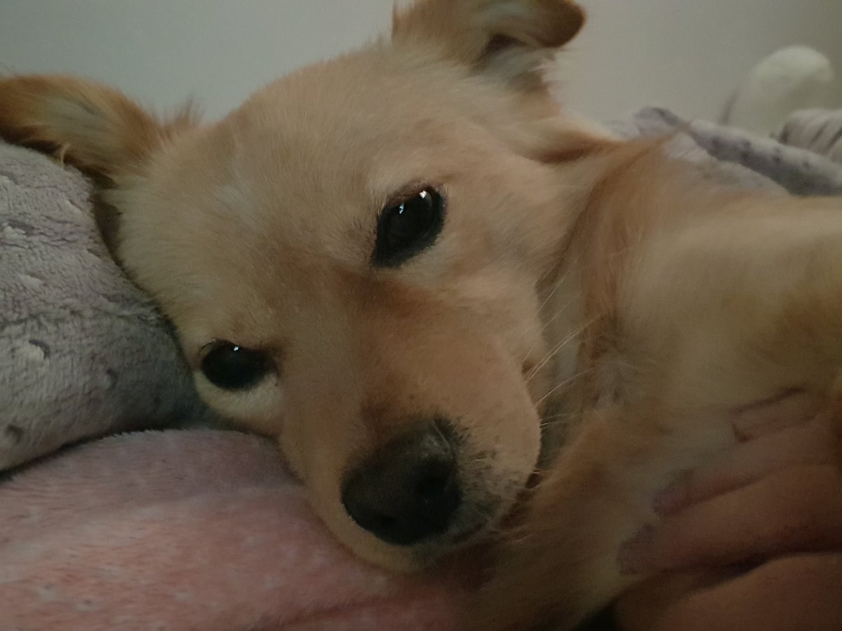 우리 바보 아기