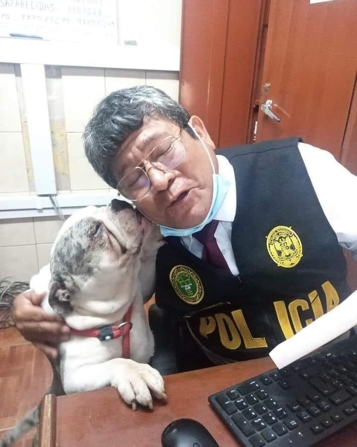 CeciliaBrozovic's tweet photo. Me quedo con esta imagen!
Igual aún hay mucho por hacer y mucho por cambiar! 🙏🏼🐶 https://t.co/ROs2H1tI77