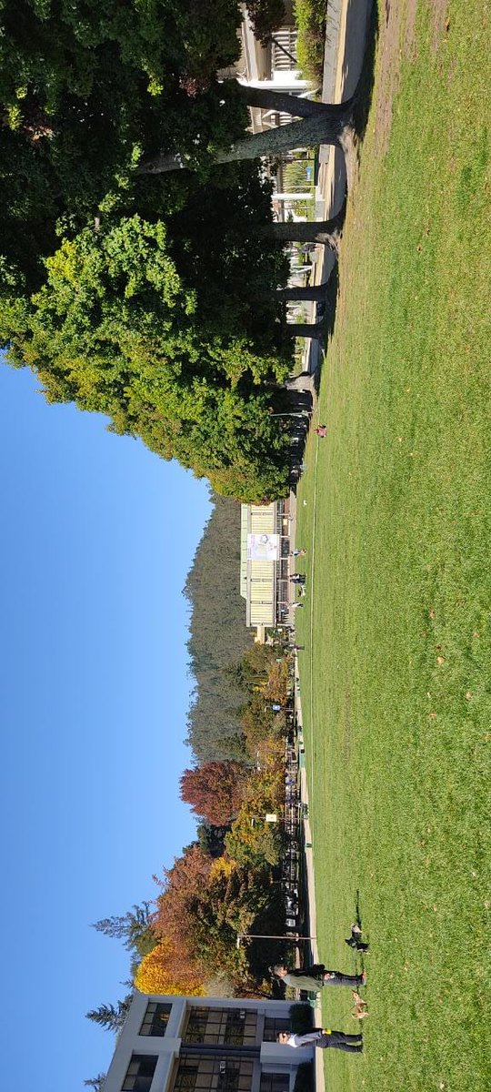agfloresc tweet picture
