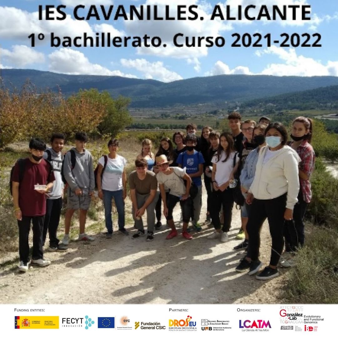 LCATMon's tweet photo. Estudiantes de IES Cavanilles en #Alicante
y su profesora Pepa Juan nos presentarán la construcción de aspiradores, recogida de muestras de #Drosophila y su experiencia en #CitizenFlyLab que han realizado como parte del proyecto de #CienciaCiudadana #MelanogasterCTF https://t.co/1sYziqsFrM