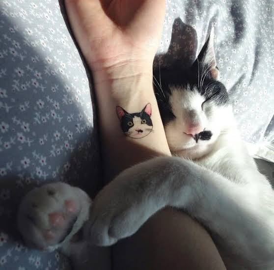 I will never...

               Let you 💗

                                   Go....