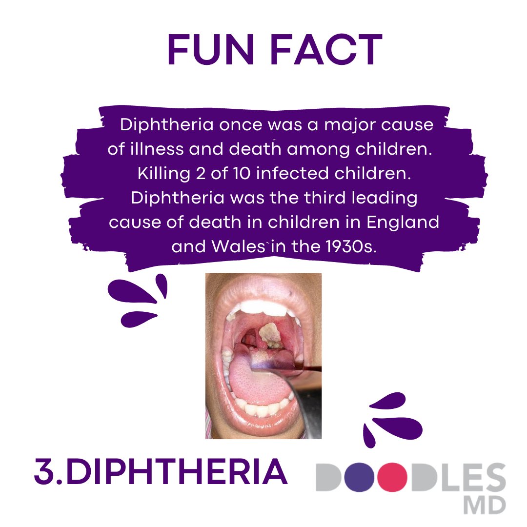 neliacares's tweet photo. #Vaccines have been indiscriminately saving lives since 1796.
The first #Smallpox immunization was a fight back against disease.
For the first time, it gave everyone a chance.
#doodlesmd #LongLifeForAll #worldimmunizationweek #WorldImmunizationWeek2022 https://t.co/bBWCZ0hUbv
