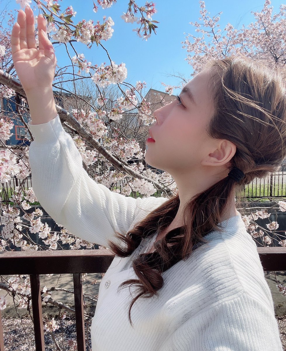 Nachi_0724's tweet photo. 5/1(日)① ✻審査対象ツイート✻

🌸1RT⇒30Pt🌸RTがポイントなります✨

桜の穴場スポットで🌸🌸

札幌はGWが見頃です🌸

引用RT❌ 相互RT⭕️
#MissBouquet
#BRIDALLANDWAKASA 
#ミクチャ https://t.co/aULV9fVwNy