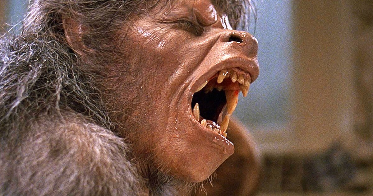 horrornecronom's tweet photo. 80s horror hits differently https://t.co/0EGcpCMhlx