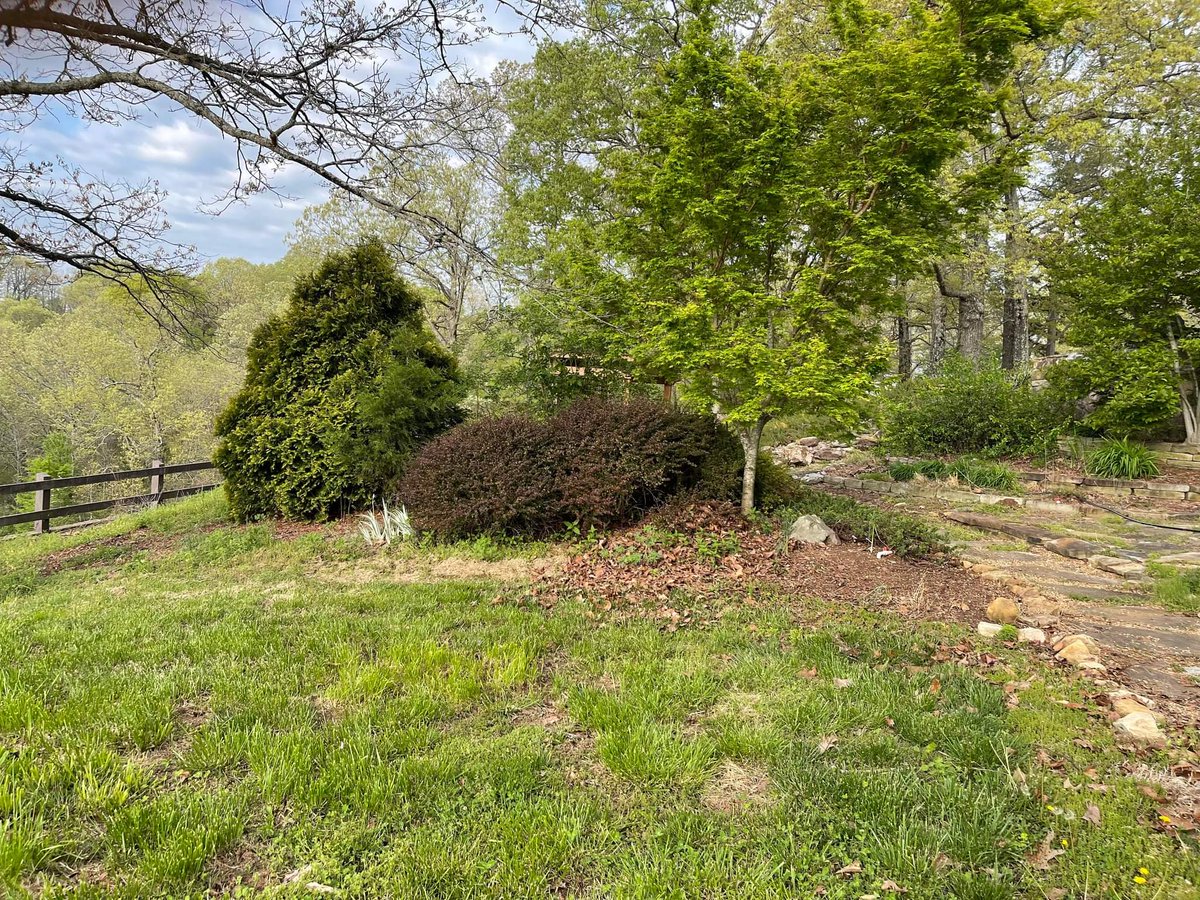 LodgeBuffalo's tweet photo. #BuffaloRiver Spring 2022 https://t.co/2jeb93UCqm