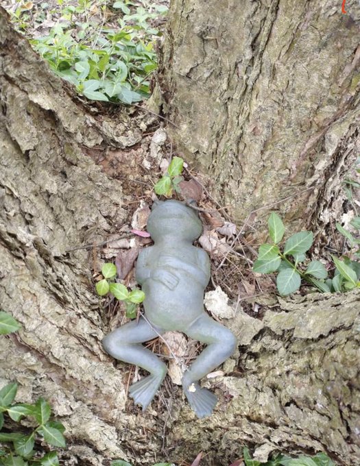 &hellip; that&rsquo;s a happy looking frog statue https://t.co/zcWixShVI8<a href="/tag/sundayeuphemism"class="tags"><span>#sundayeuphemism</span></a>