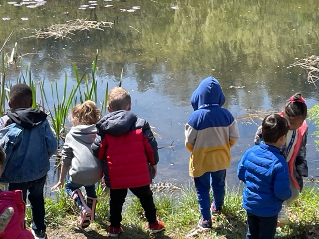 CCPS ECE tweet media