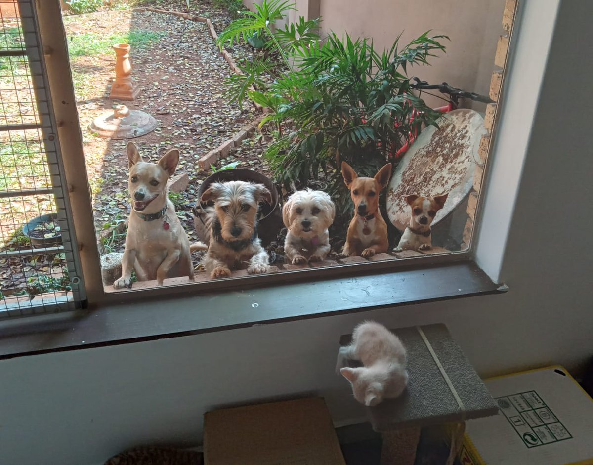 JanBlouBull's tweet photo. @BrodHiggins My 5. From big to small https://t.co/47KvgwkIkB