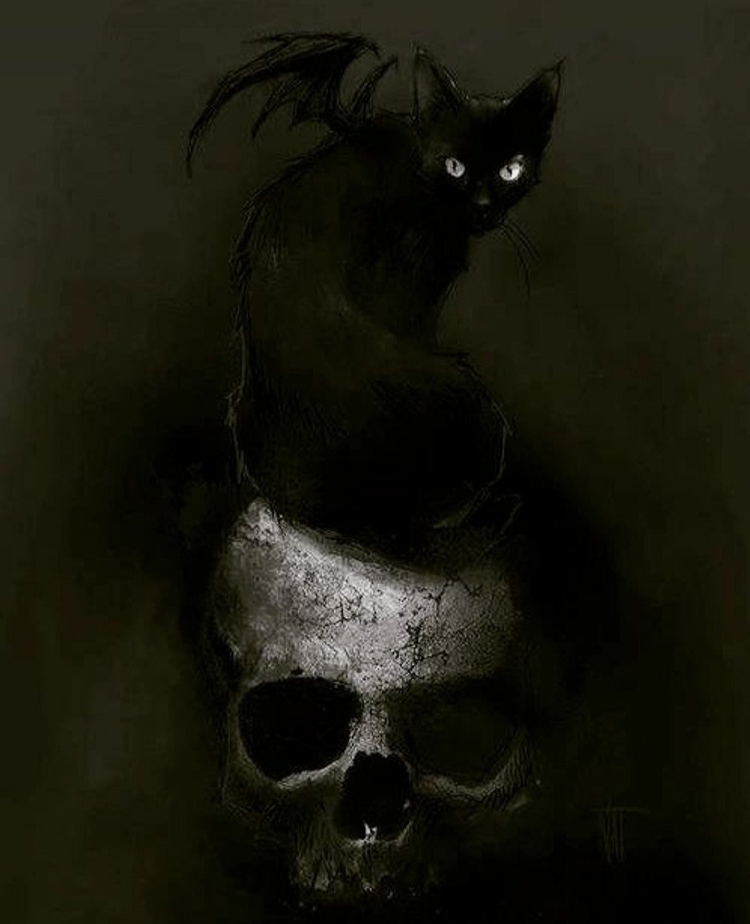 Страшные коты картинки
