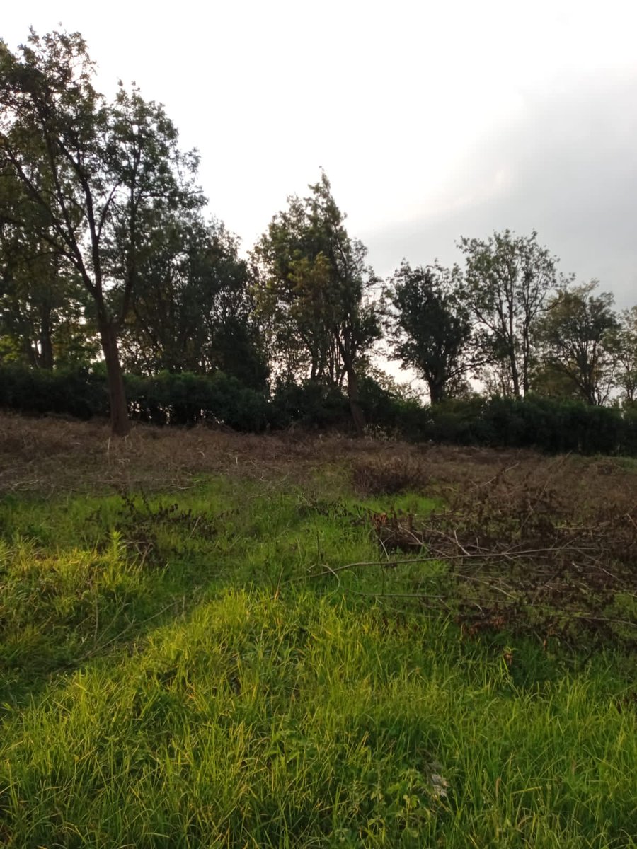 FrenPropertie's tweet photo. LAND FOR SALE.
  5 acres of land for sale at Karen off Lang'atta road near international schools, hospital and Galleria. Easy to access to the CBD and Airport.
 Selling at 60 million per acre. https://t.co/ZCxzHfJf9D