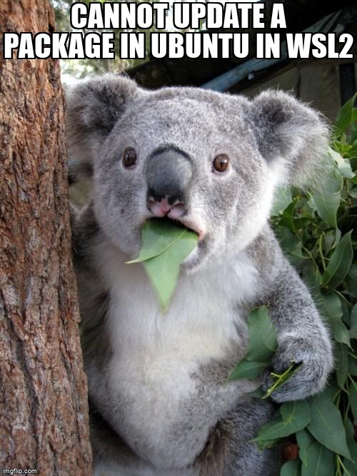 overflow_meme's tweet image. Cannot update a package in Ubuntu in WSL2 stackoverflow.com/questions/7206… #sudo #ubuntu #windowssubsystemforlinux #apt #bash