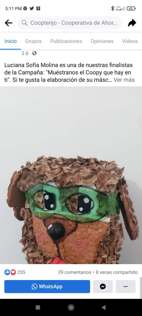 Con un total de 296 votos, Luciana Sofía Molina obtiene el SEGUNDO PUESTO en nuestra la campaña: Muéstranos el Coopy que hay en ti.
¡Gracias por tu participación en la actividad!  Has resultado beneficiada con una linda bicicleta. 
¡Pronto te contactaremos!
#FelizDíaDelNiño