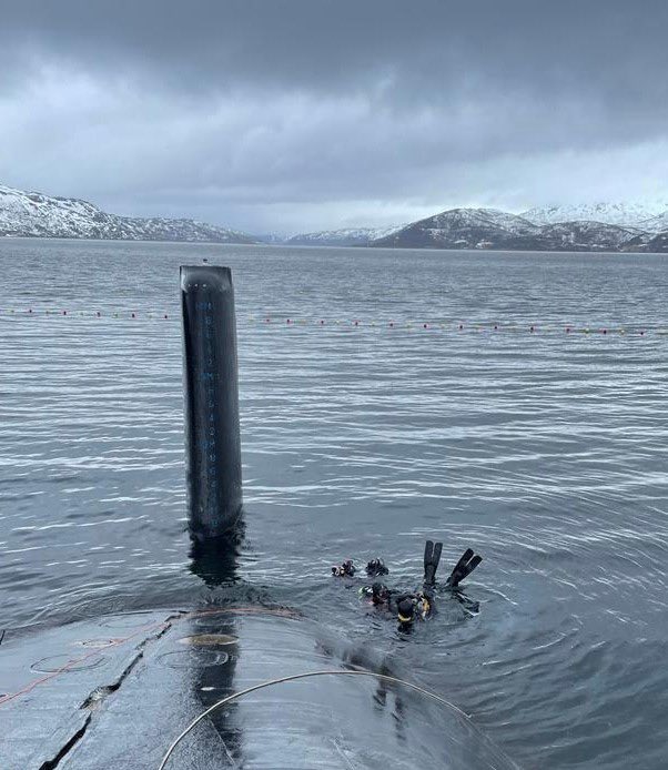 Incredibly rare photo of the stealthy propulsion ‘fitted to some of the latest #submarines. The flippers mimic the animal kingdom, making them almost undetectable on sonar