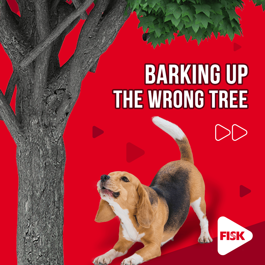 fiskoficial's tweet photo. “(To) bark up the wrong tree”, cuja tradução é latir para a árvore errada, é uma expressão da língua inglesa que quer dizer que você está reclamando à toa ou para a pessoa errada. Pensando bem, faz sentido, não é?
#English #FiskTips #InstaFisk #DêUmPLAY ▶️ https://t.co/BYZXURpojF