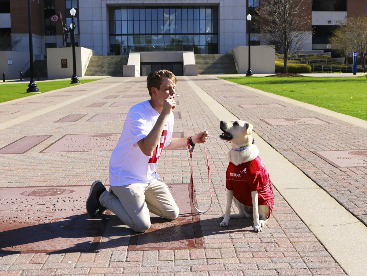 RollTidePenny's tweet photo. Hi guys. My hooman and I took graduation pictures. Nashville, here we come! https://t.co/o1mum0VDEE