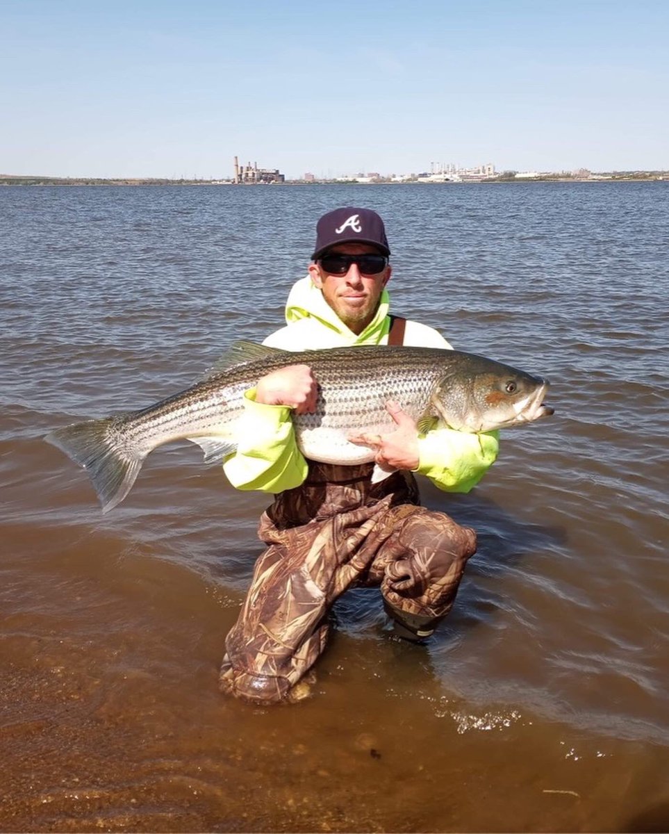 SJShooters's tweet photo. Patrick Milligan staying on those stripers this one is 45”!!!
#sjshooters #SJShooters #njfishing #fishinglife #fishingnj #striperfishing #stripers #catfishfishing #njbassfishing #bassfishing #bassmaster #flounderfishing #flounder #njflounder https://t.co/K1PzSQ2w0F