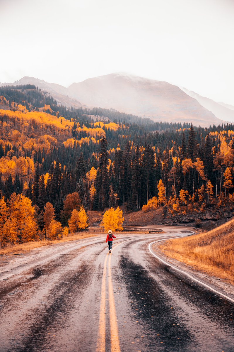 AvecNicole's tweet image. Some colorful photos from fall 😻 gm ❤️‍🔥