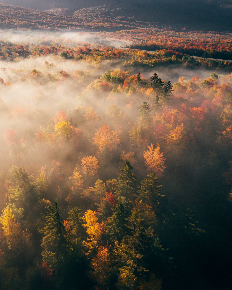 AvecNicole's tweet image. Some colorful photos from fall 😻 gm ❤️‍🔥