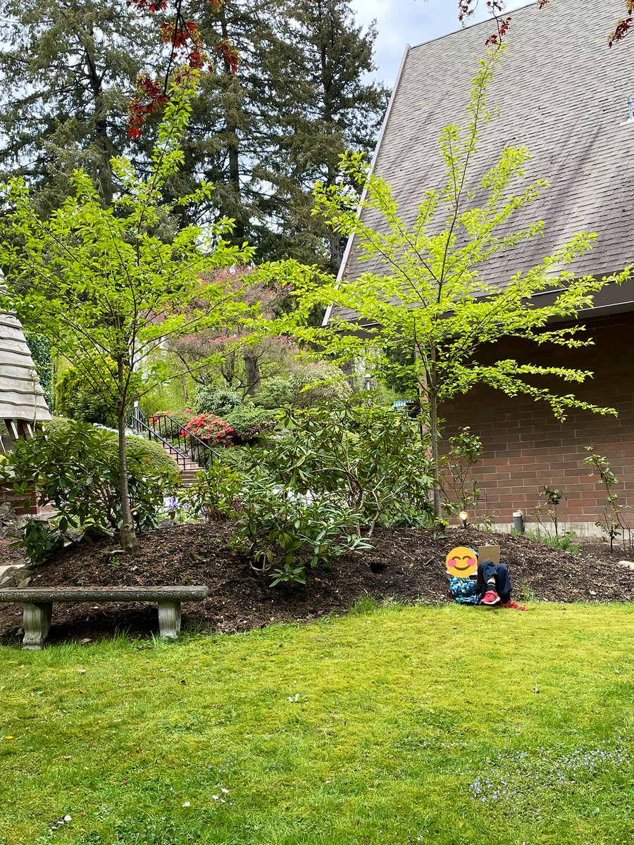 MsAlbertisClass's tweet image. Day 4 #walkingcurriculum challenge: Gratitude/5 senses walk - what can you hear, smell, see, feel and taste that you are grateful for?