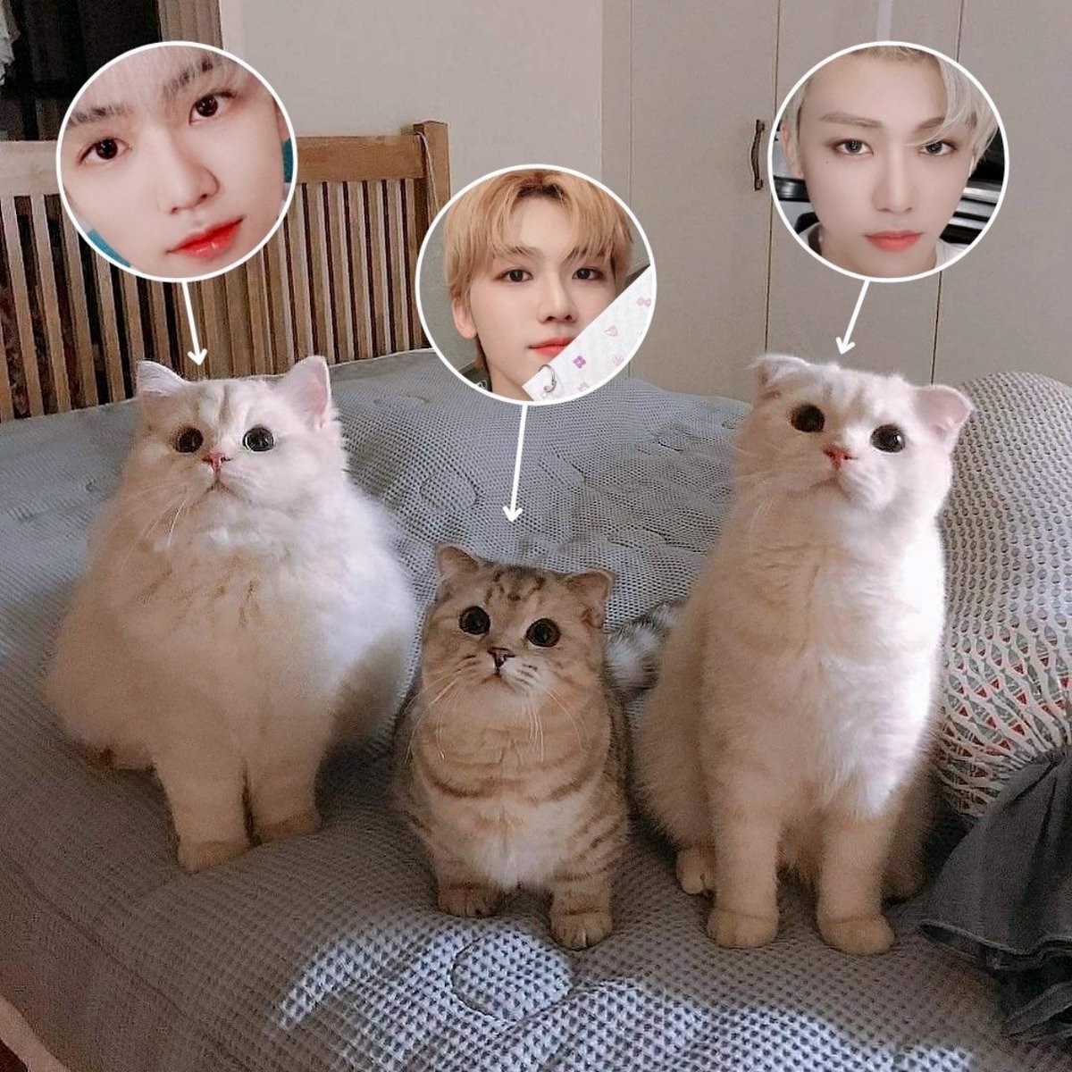 นานะ​ แจมแจม​ จามิง