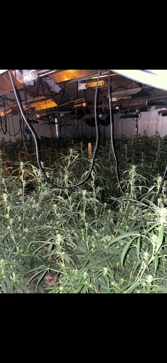 Havering MPS tweet media