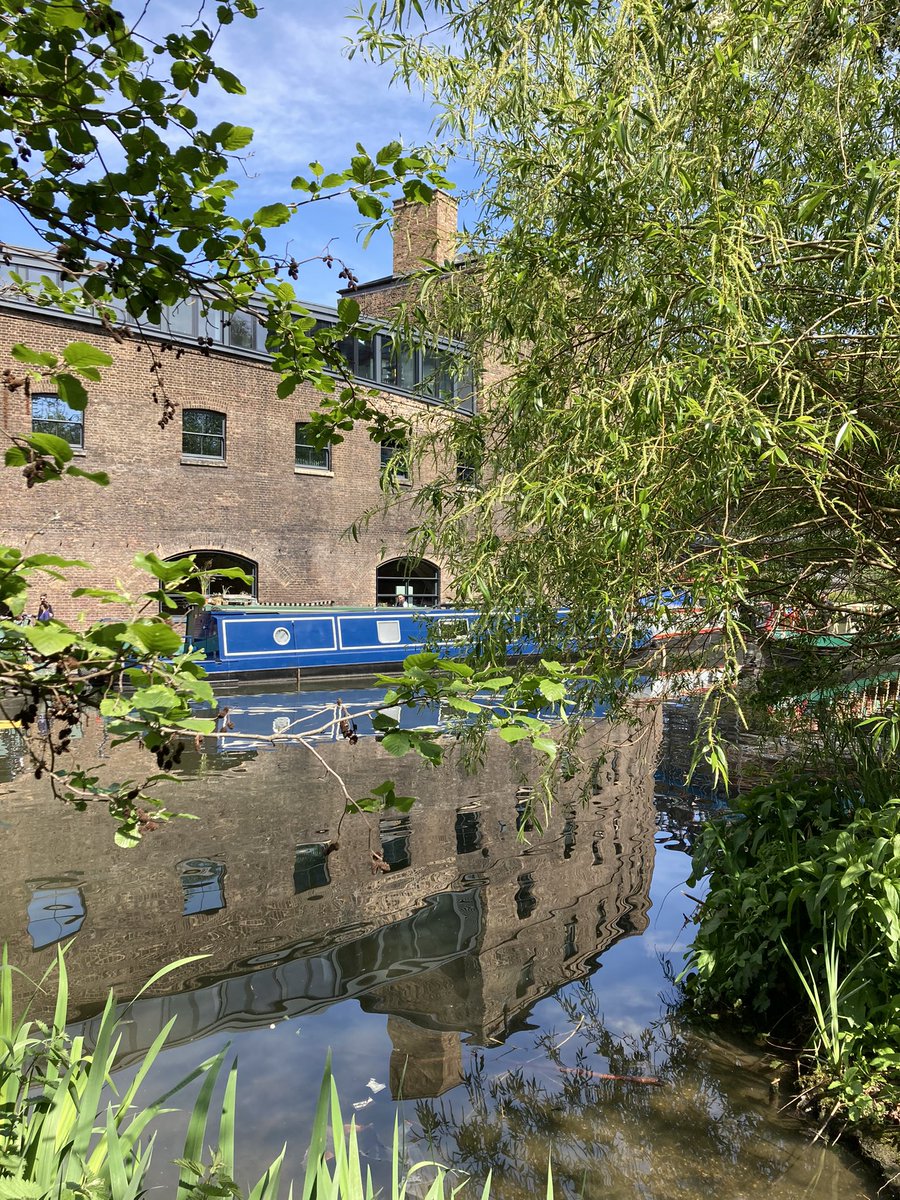 ejngee's tweet photo. The newly reopened @WildLondon Camley Nature Reserve is a wild and wonderful oasis in Kings Cross. Come for coffee, magical walks, and bumble bee rescuing https://t.co/7qfzhmB0nR
