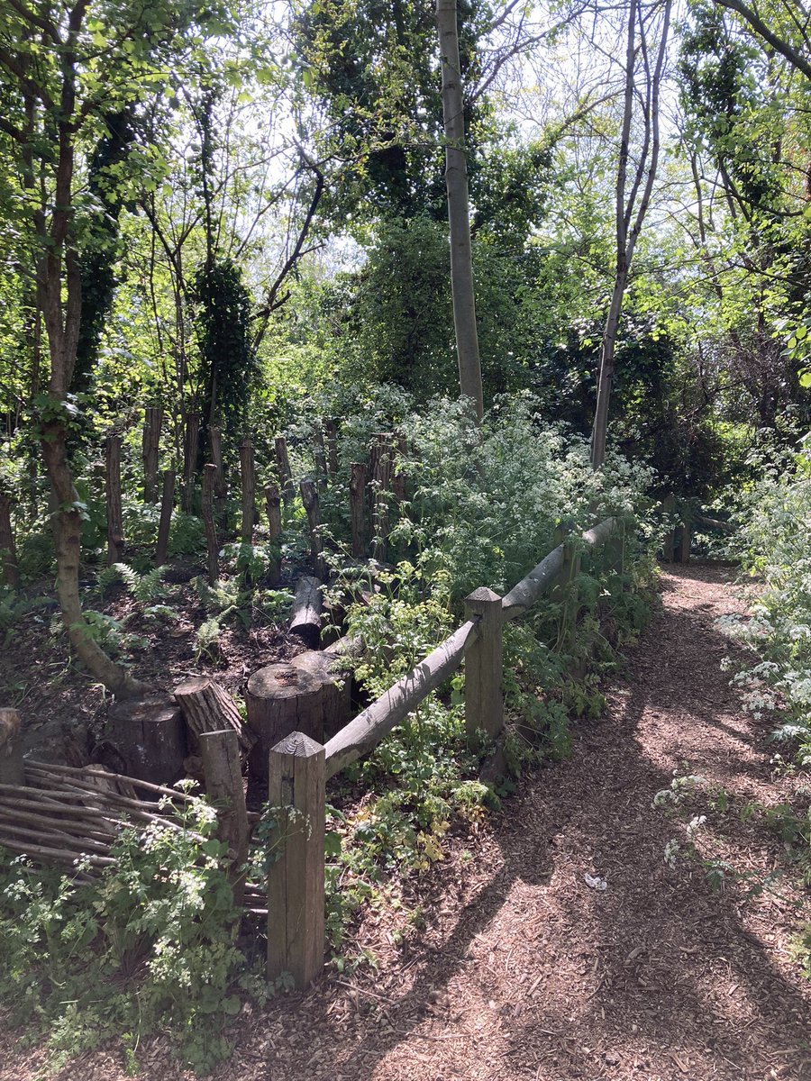 ejngee's tweet photo. The newly reopened @WildLondon Camley Nature Reserve is a wild and wonderful oasis in Kings Cross. Come for coffee, magical walks, and bumble bee rescuing https://t.co/7qfzhmB0nR