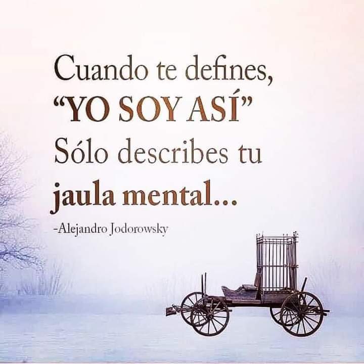 ElbaElbit's tweet photo. Ciertamente.!

Alejandro Jodorowsky. https://t.co/9VdZBep0K9