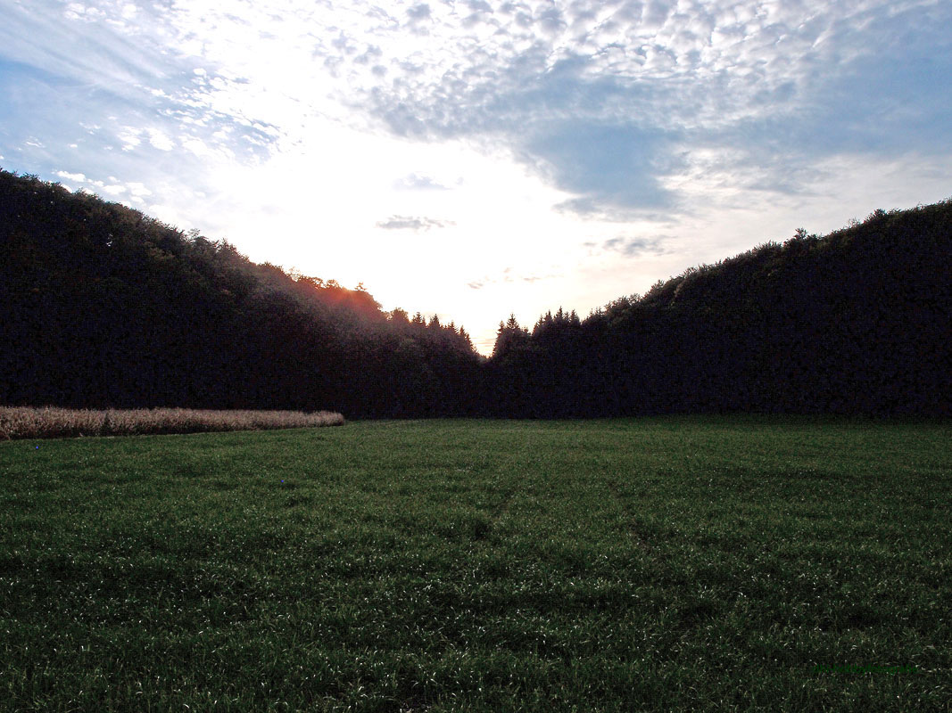 Du sagst, du liebst den Regen, aber benutzt einen Regenschirm. Du sagst, du liebst die Sonne, aber bleibst im Schatten, wenn sie scheint. Du sagst, du liebst den Wind, aber schließt das Fenster, wenn er weht. Deshalb habe ich Angst, wenn du sagst, dass du mich liebst.
Bob Marley