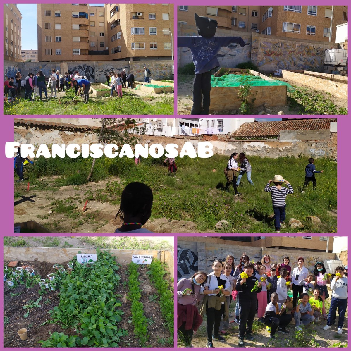 luigiaguilar's tweet photo. Ayer #ACAIM fue testigo de cómo el barrio #Franciscanos se convirtió en una gran escuela. #HuertosComunitarios en el aula, del Proyecto #TodosGanamos. Enhorabuena a todas.
#yosoyfranciscanos #educacionambiental #yosoyfranciscanos  #interculturalidad #ODS🌄 https://t.co/dM2w0jnf3s https://t.co/dOif7VJDh7