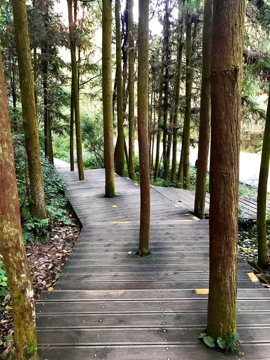 Have a much needed peaceful weekend 🌲🌿🌼