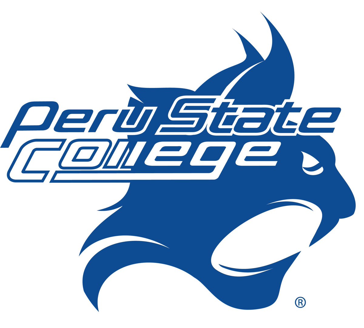 Blessed to receive an offer from Peru State College! <a href="/PSCWomenHoops/">Peru State WBB</a>